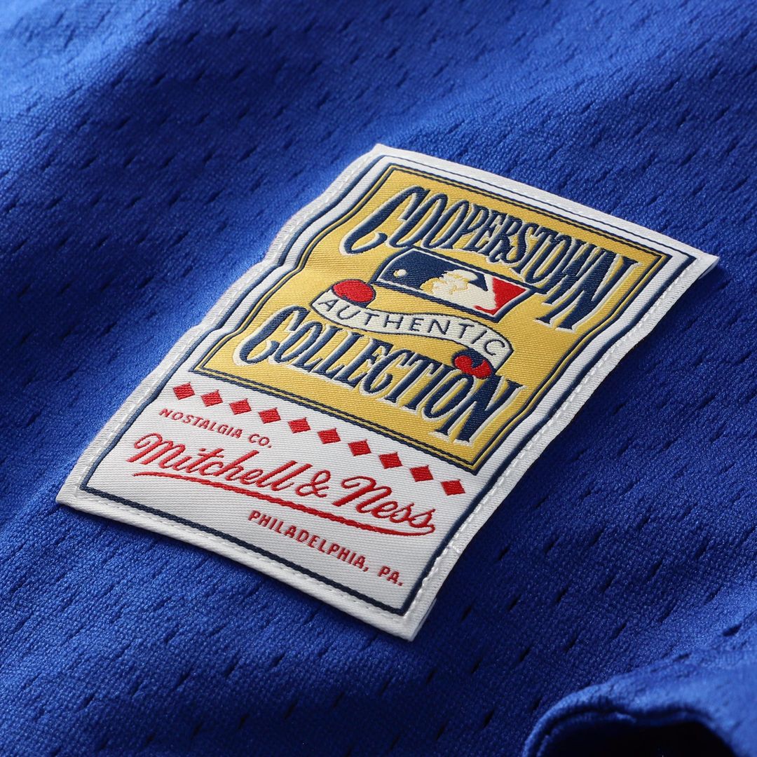 Los Angeles Dodgers Mike Piazza Mitchell & Ness Cooperstown Mesh Batting Practice Button-Up Jersey - Royal