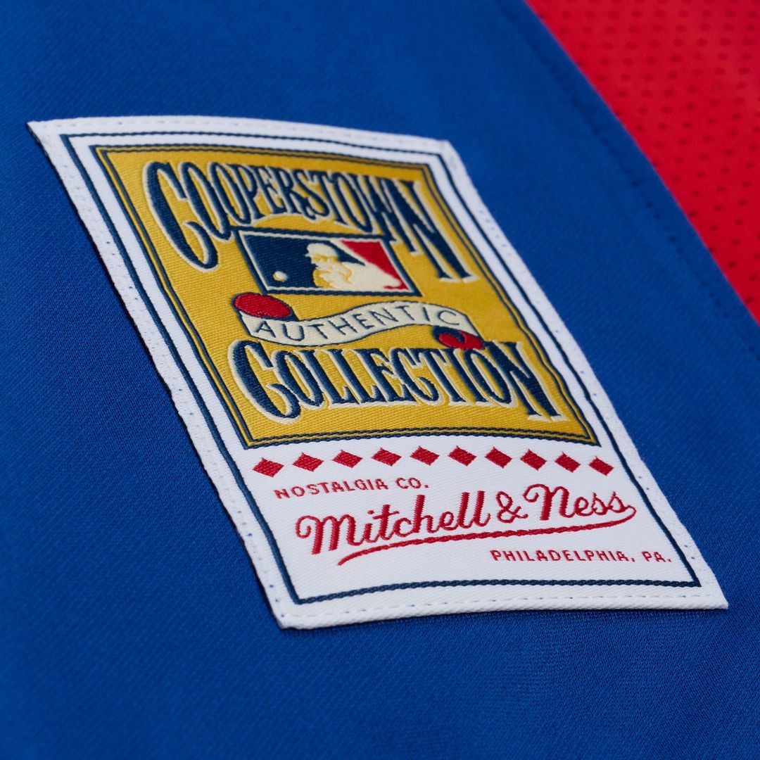 Texas Rangers Adrian Beltre Mitchell & Ness Cooperstown Mesh Batting Practice Button-Up Jersey - Royal