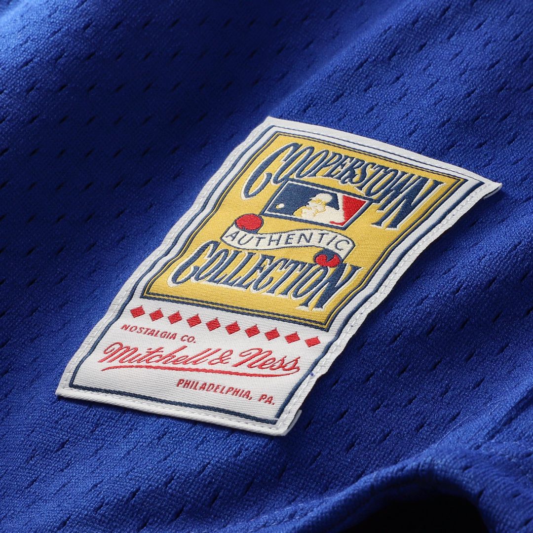 Chicago Cubs Ryne Sandberg Mitchell & Ness Cooperstown 1996 Mesh Batting Practice Button-Up Jersey - Royal